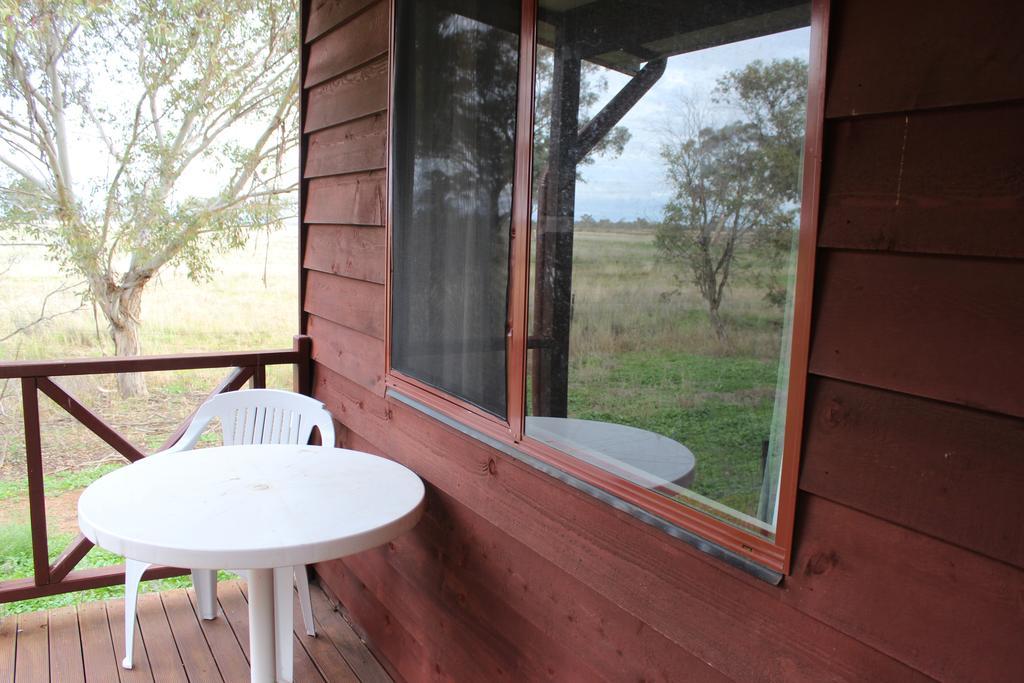 Aussie Cabins Hotel Dubbo Cameră foto
